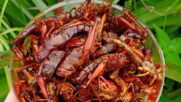 Gambar ini memiliki atribut alt kosong; nama filenya adalah belalang-goreng-img.jpg